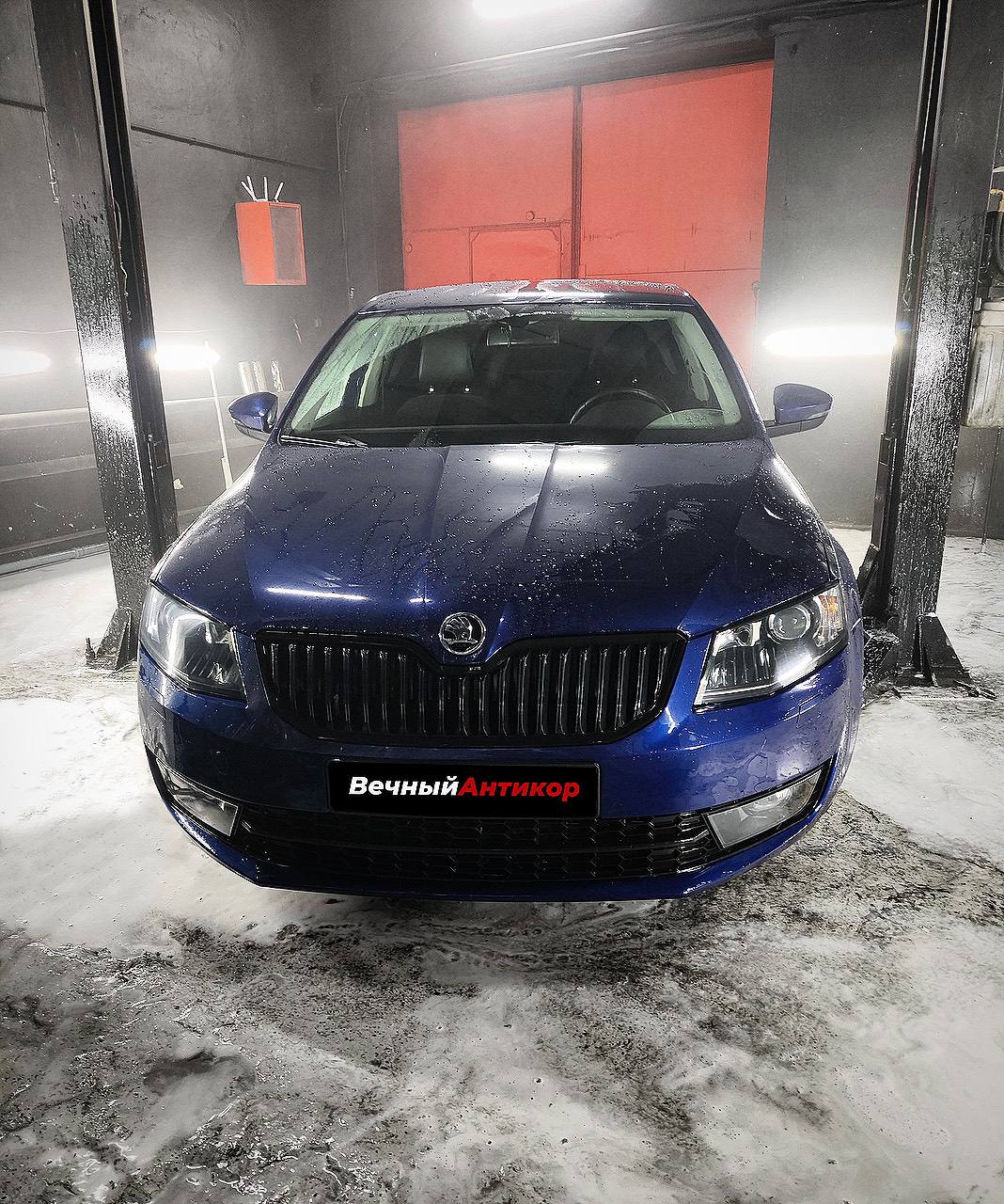 Skoda Octavia — до обработки